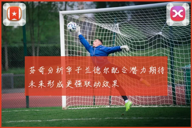 芬奇分析华子兰德尔配合潜力期待未来形成更强联动效果