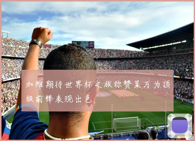 加维期待世界杯之旅称赞莱万为顶级前锋表现出色